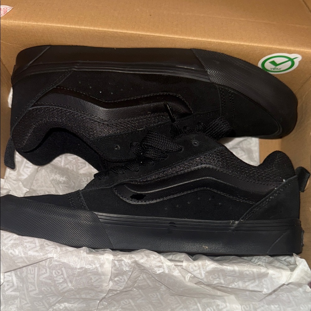 Vans Black Low-Top Skate Shoes